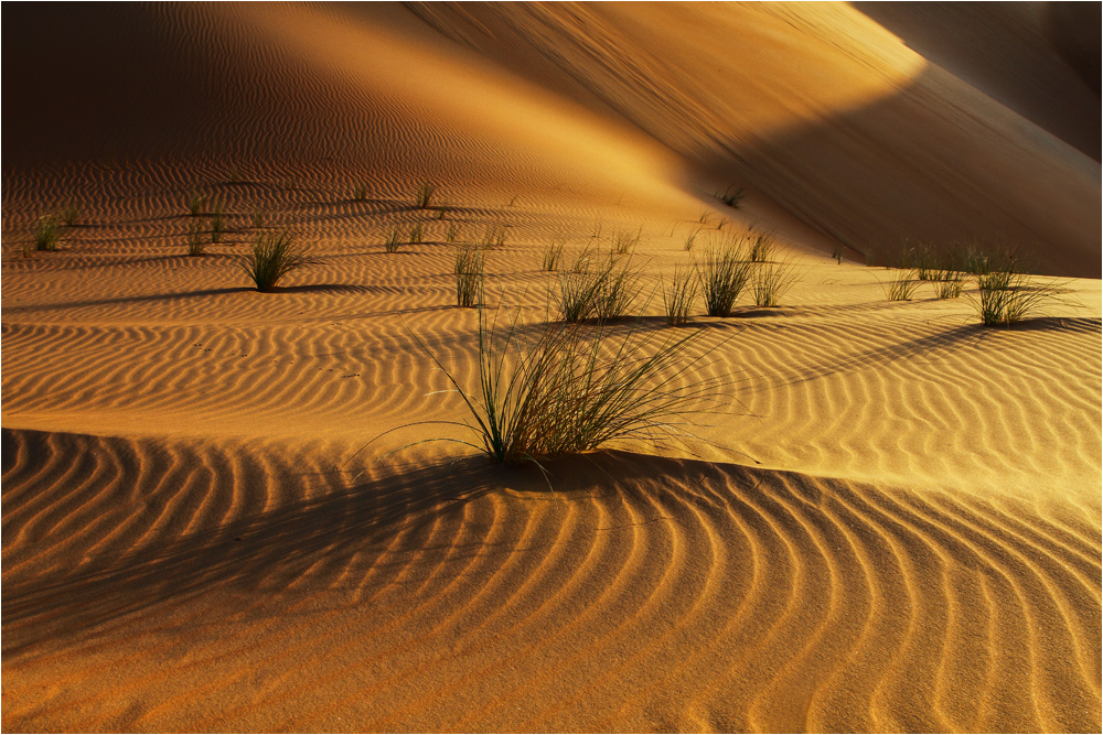 Wüste (4)