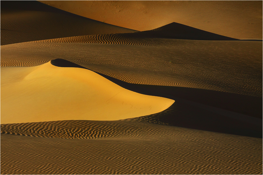 Wüste (5)