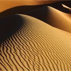 Wüste (8)