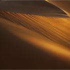 Wüste (9)