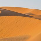Wüste - Abu Dhabi