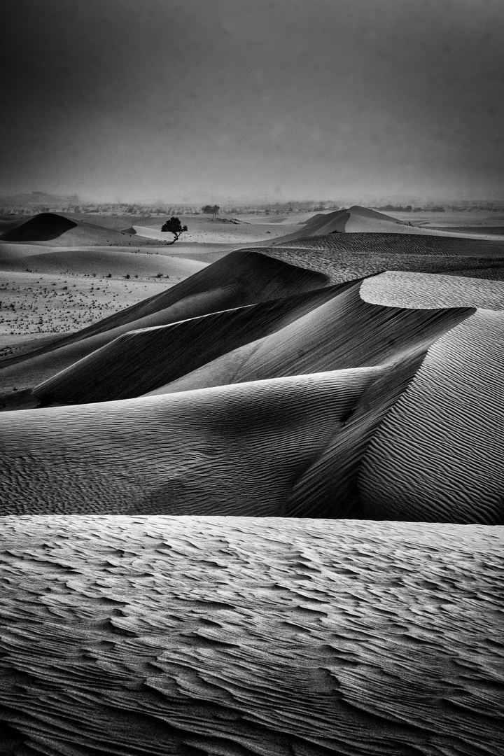 Wüste Abu Dhabi