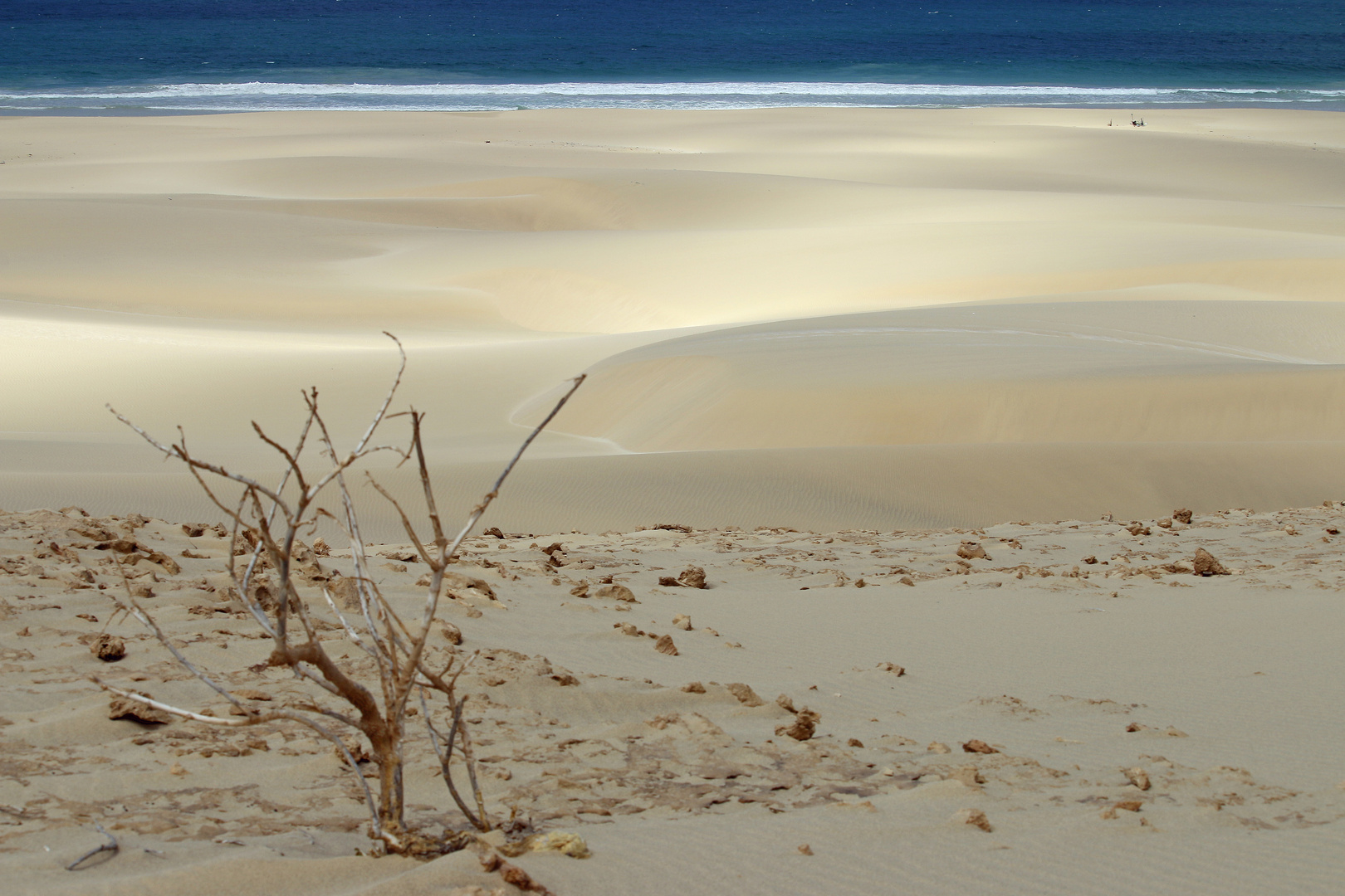 Wüste am Meer