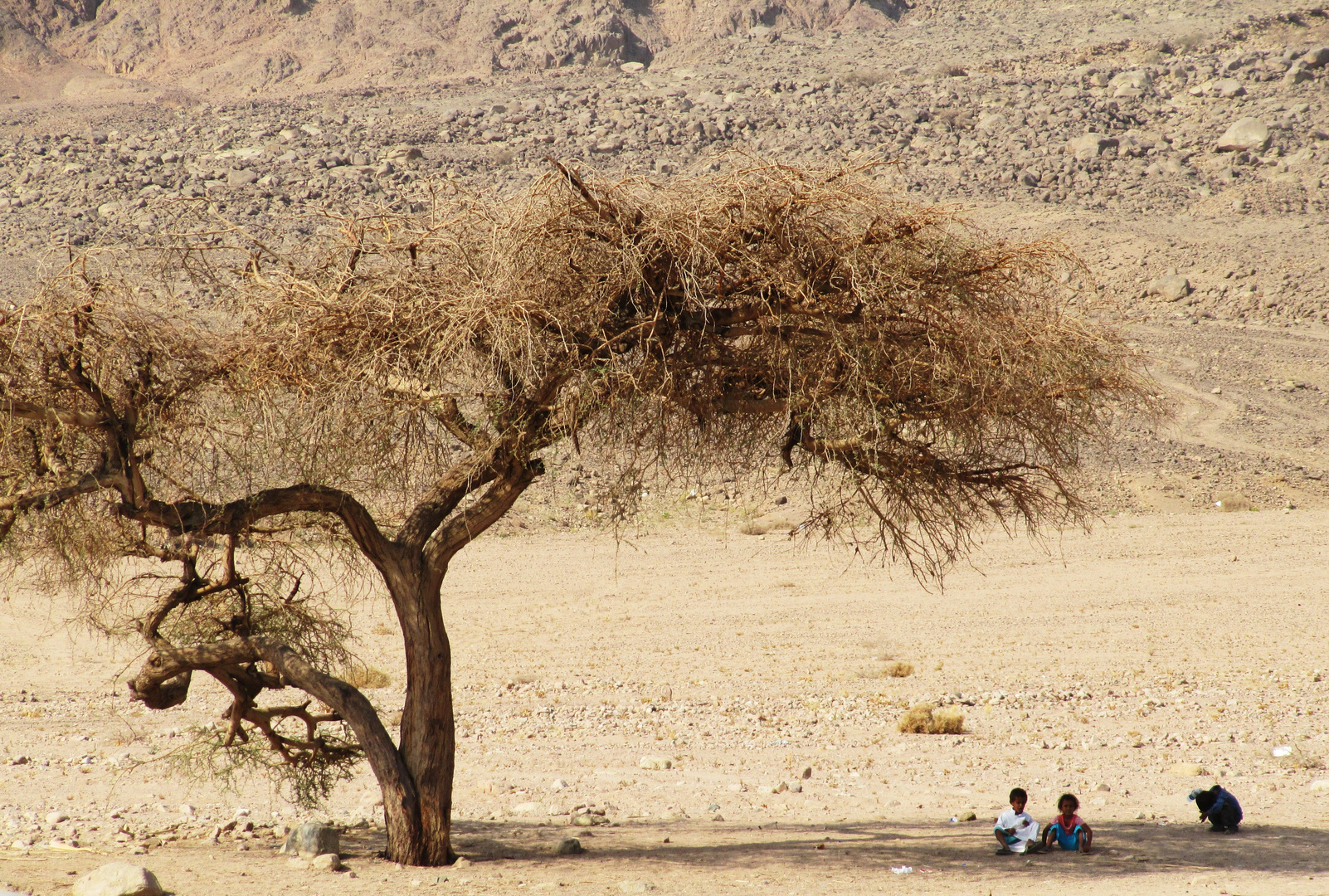 Wüste auf Sinai