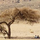 Wüste auf Sinai