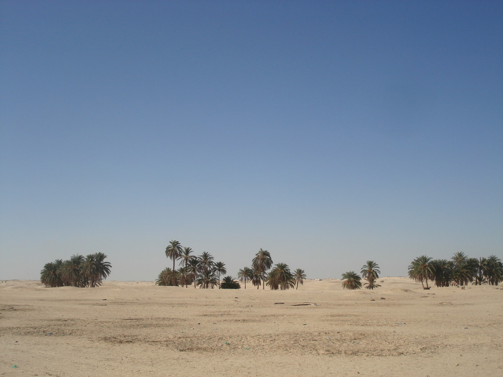 Wüste bei Douz, dem Tor zur Sahara