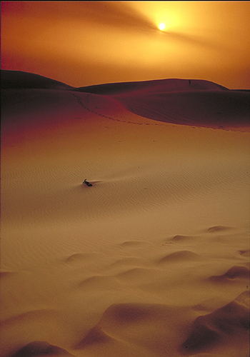 Wüste bei Erg Chebbi Marokko