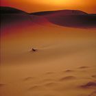 Wüste bei Erg Chebbi Marokko