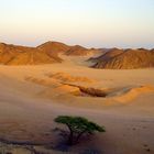Wüste bei Sonnenuntergang - heißt Demut erfahren