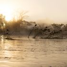 Wüste & Delta - Morgennebel am Okavango