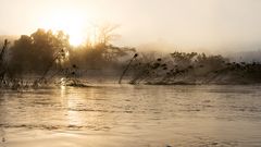 Wüste & Delta - Morgennebel am Okavango