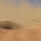 Wüste - Desert - Désert - Deserto - Desierto