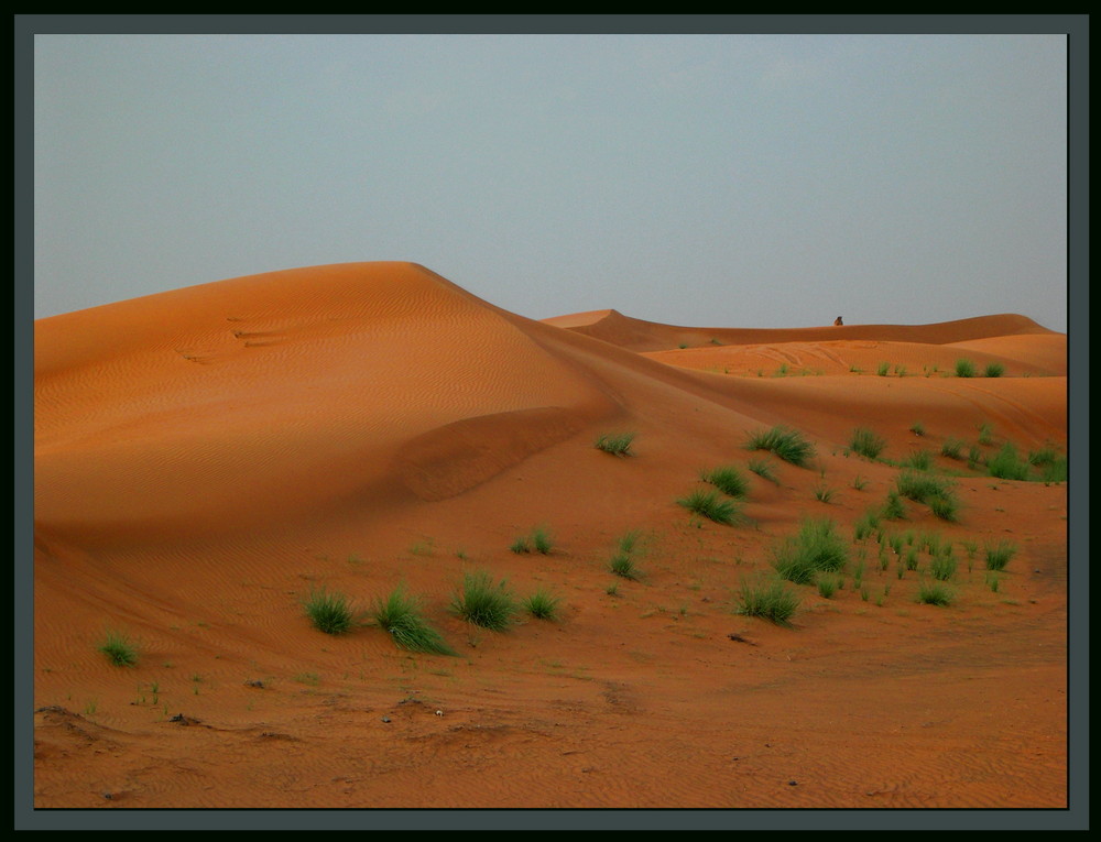 Wüste Dubai