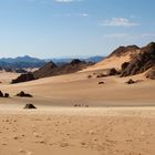 Wüste - eine Traumlandschaft