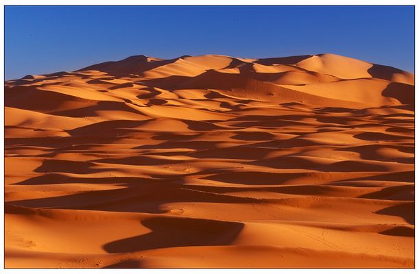 Desierto Imágenes y fotos