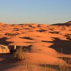 Wüste Fete I