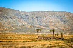 Wüste Fuerteventura