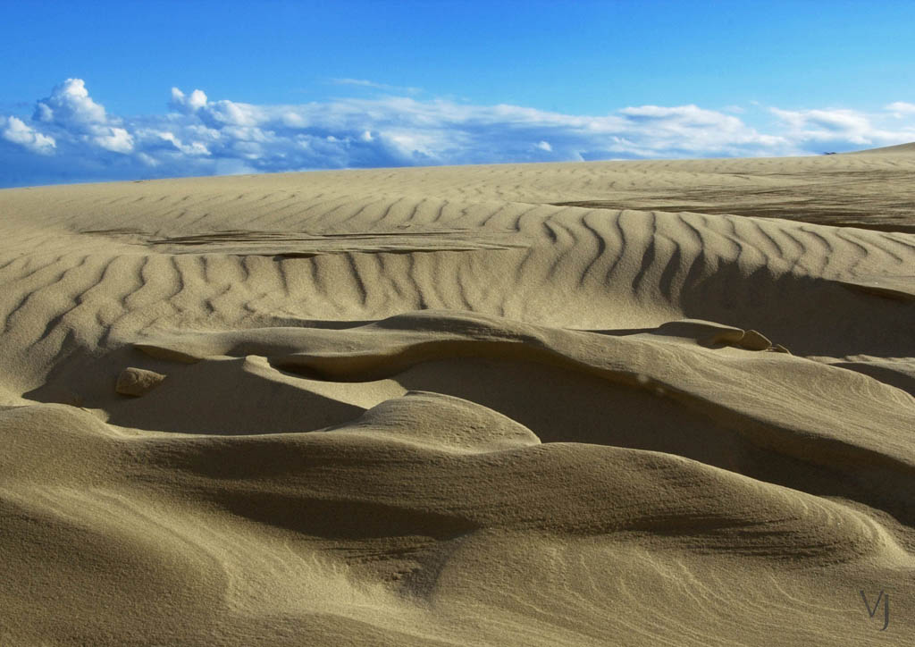 Wüste in Baltikum (Lithuanian desert) Foto & Bild ...