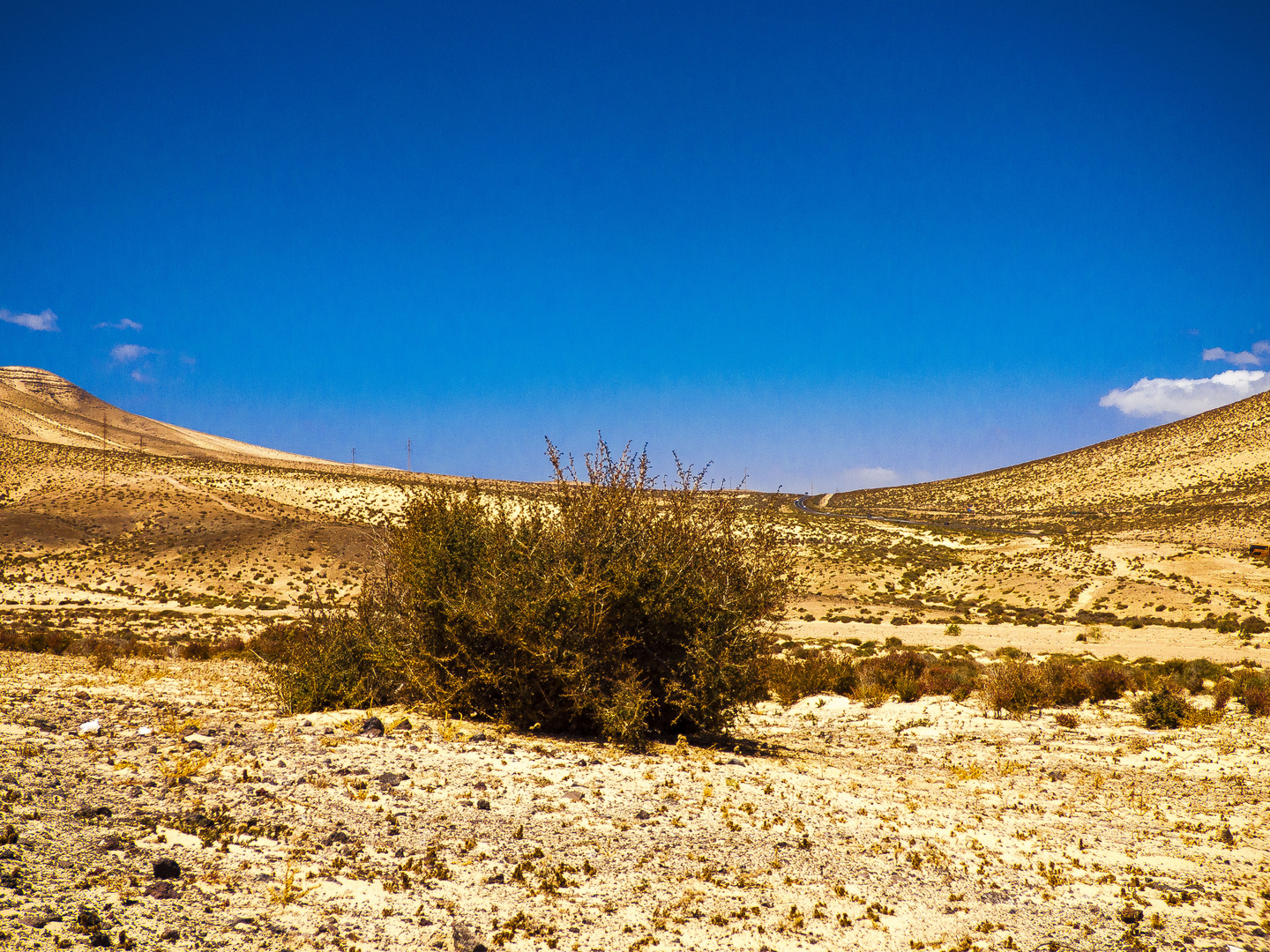 Wüste in Jandia