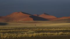 Wüste in Namibia