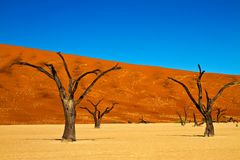 Wüste in Namibia