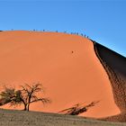 Wüste in Namibia