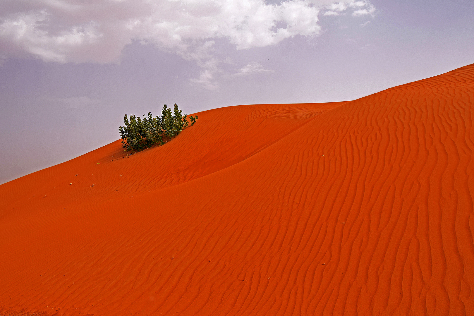 Wüste in Oman