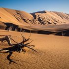Wüste Lut - Iran