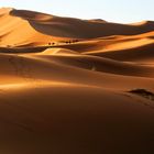 Wüste-Marokko