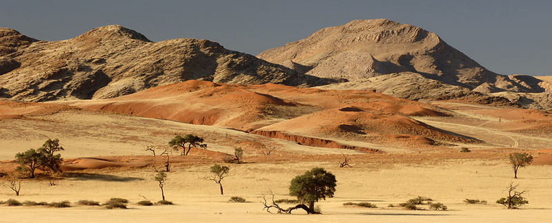 Wüste Namib 2