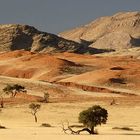 Wüste Namib 2