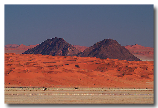 Wüste Namib - 2 Berge - 2 Bäume