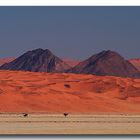 Wüste Namib - 2 Berge - 2 Bäume