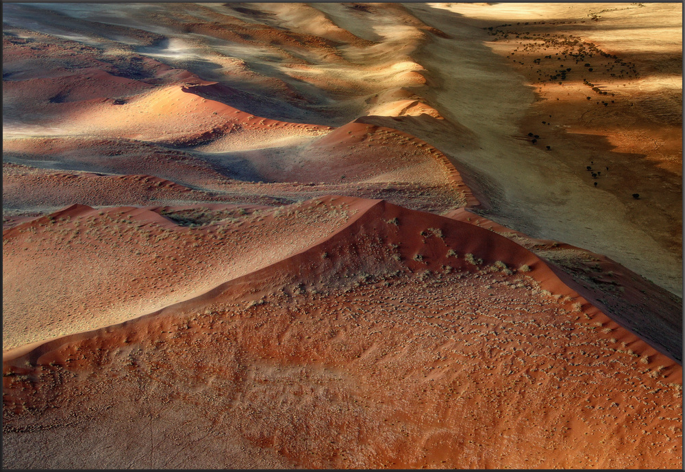 Wüste Namib 2010