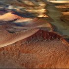 Wüste Namib 2010