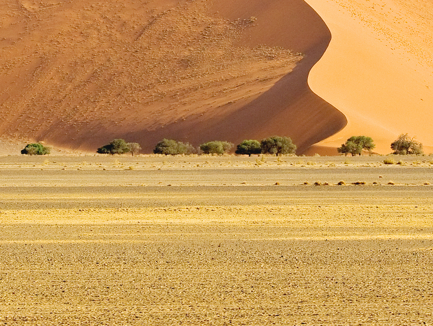 Wüste Namib 4