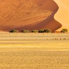 Wüste Namib 4