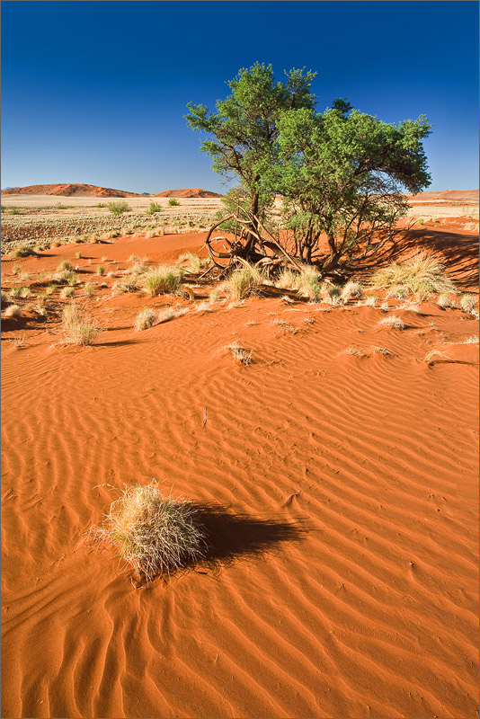 Wüste Namib