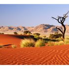 Wüste Namib morgens