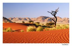 Wüste Namib morgens