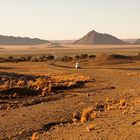 Wüste Namib, Namibia