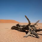 Wüste Namib, Sossusvlei