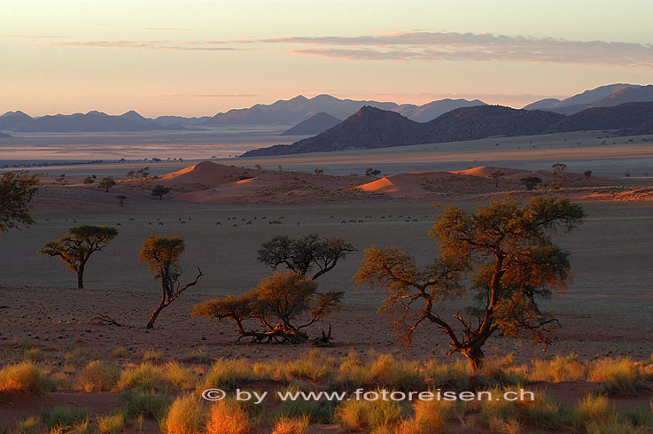Wüste Namib, Südteil