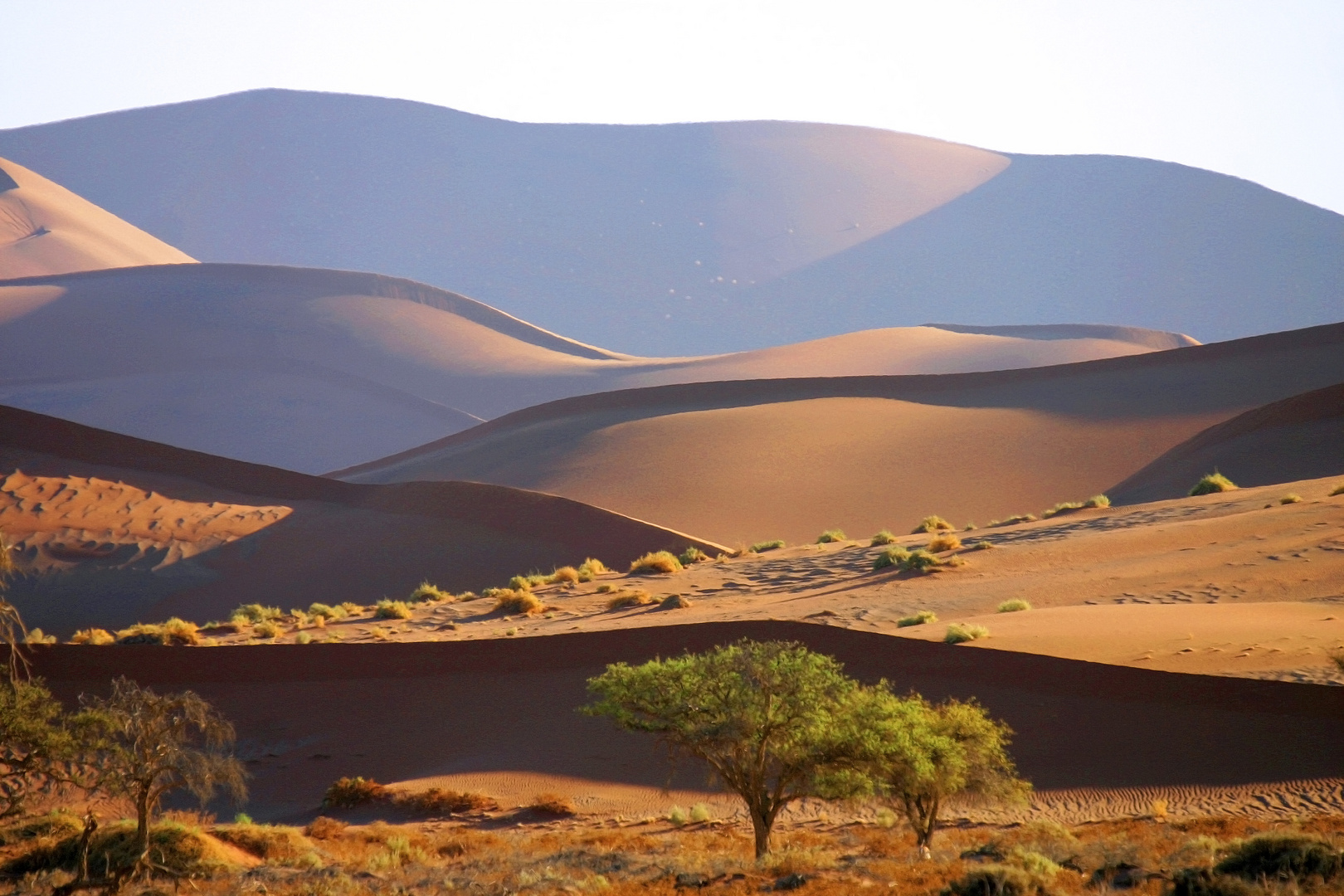 Wüste Namibia