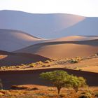 Wüste Namibia