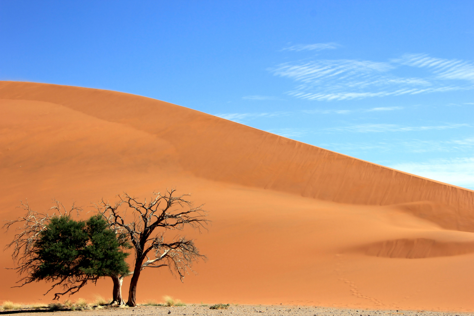 wüste namibias dünenlandschaft