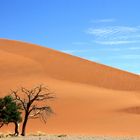 wüste namibias dünenlandschaft