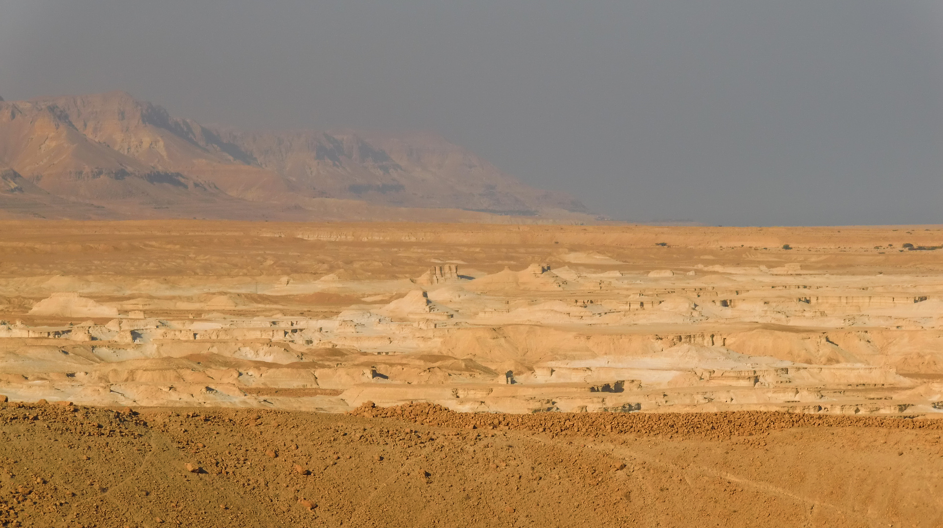 Wuste Negev Israel Foto Bild Anfangerecke Nachgefragt Nachgefragt Landschaft Natur Bilder Auf Fotocommunity