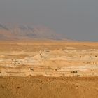 Wüste Negev, Israel