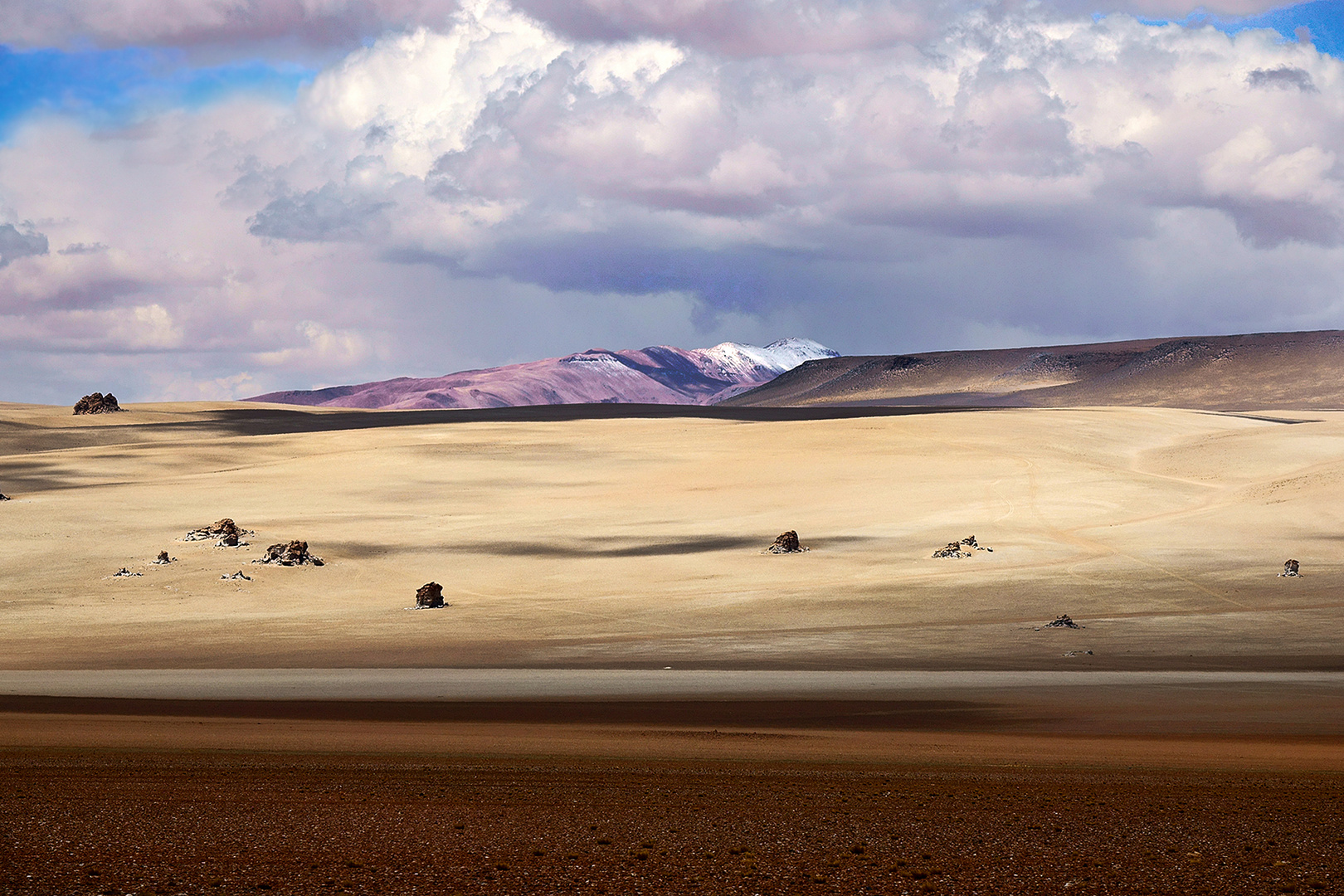 Wüste Salvadore Dali